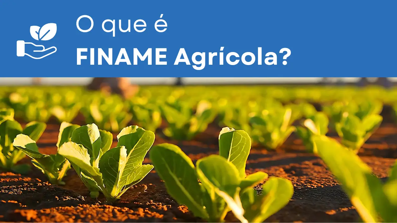 Essa imagem apresenta o texto: 'O que é código FINAME Agrícola' e mostra uma lavoura com uma plantação de salada verde exuberante.